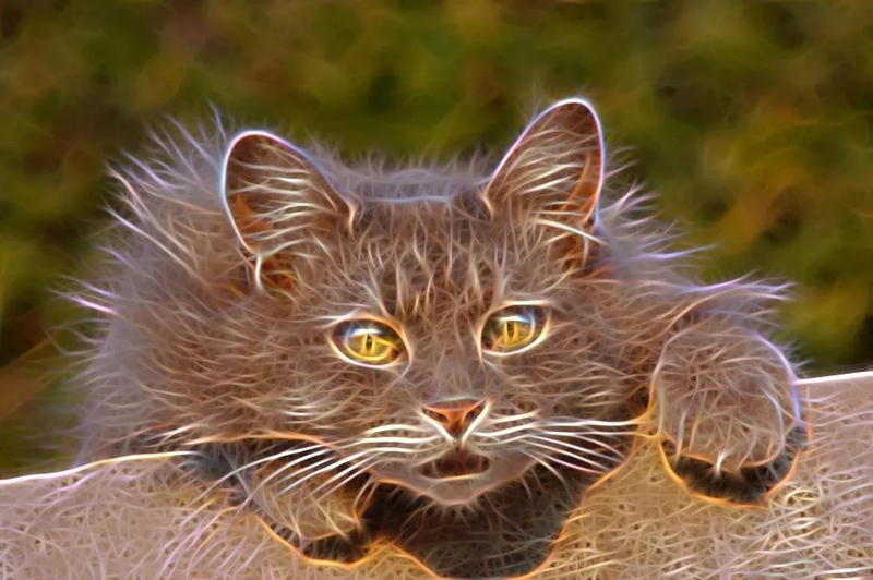 6.webp.jpg