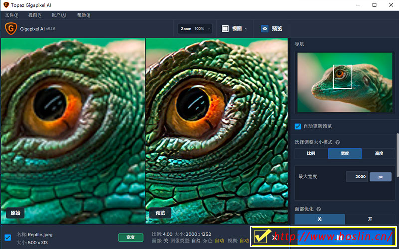 【软件】AI人工智能无损放大软件 Topaz Gigapixel AI 5.1.6 支持PS2021插图(5)
