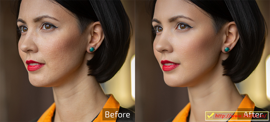 【软件/PS插件】AI智能人像美容修肤美白磨皮软件四件套Retouch4me Heal/Dodge & Burn/Eye Vessel/portraitvolumes 支持Win系统插图(11)