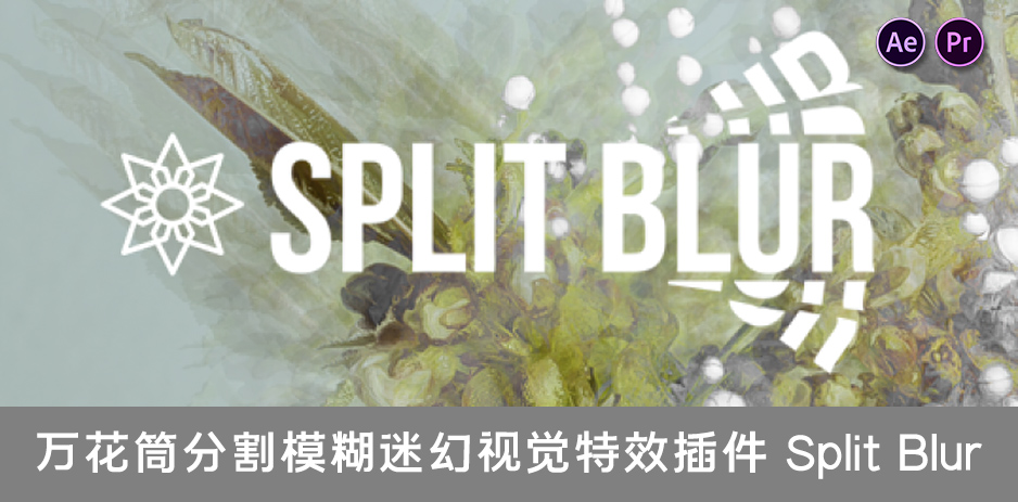 【AE/PR插件】万花筒分割模糊迷幻视觉特效 Split Blur v1.0.1 汉化中文版 支持Win/Mac插图