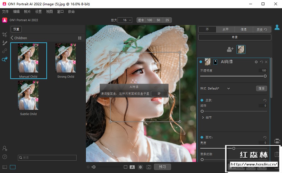 【软件/PS插件】AI人工智能人像后期处理修饰软件 ON1 Portrait AI 2022（16.0.1.11481） 中文汉化版 支持Win/Mac插图(5)