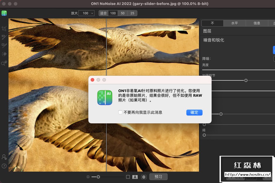 【软件/PS插件】智能AI图像降噪处理软件/PS插件 ON1 NoNoise AI 2022（16.0.1.11481）Mac中文版插图(4)