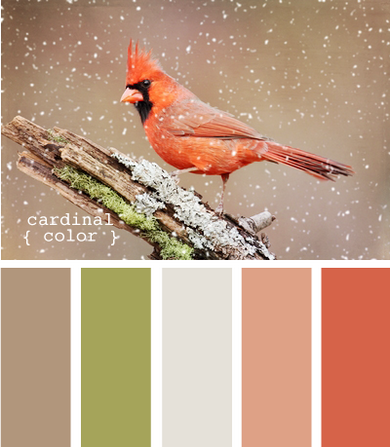 师必备超实用色卡渐变色卡对比色卡ai电子版色卡ps渐变预设配色方案